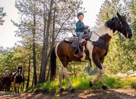 CBID Business Listing Hero Horseback Riding Play